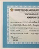 01 - BFLLFEA Membership Certificate